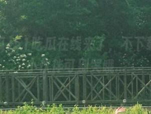 51吃瓜在线来了，不下载后面的小伙伴可别哭哦...