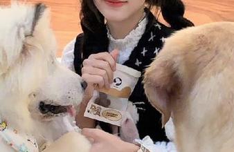 关注了，国产黑料发布的新动态，真不知道该如何回复。。
