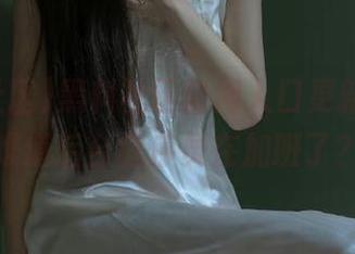 黑料社区官网入口更新频繁，难道后台程序员在加班了？